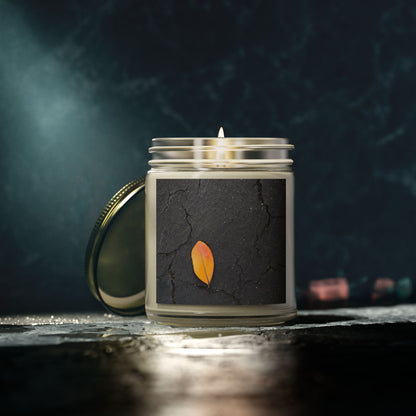Orange Leaf on Black Concrete Jar Candle – Minimalist Autumn Decor with Urban Nature-Inspired Photography and Moody Fall Aesthetic