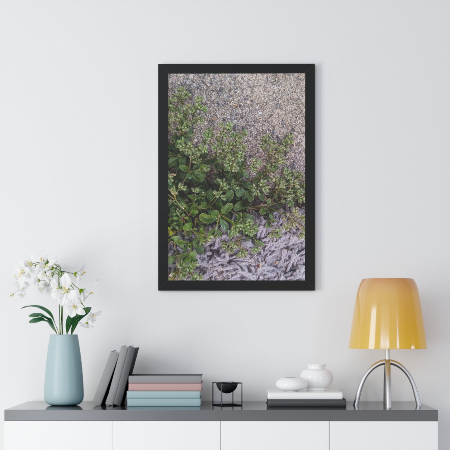Where the Allseed Grows Framed Print – Urban Nature Minimalist Botanical Wall Art with Concrete Texture