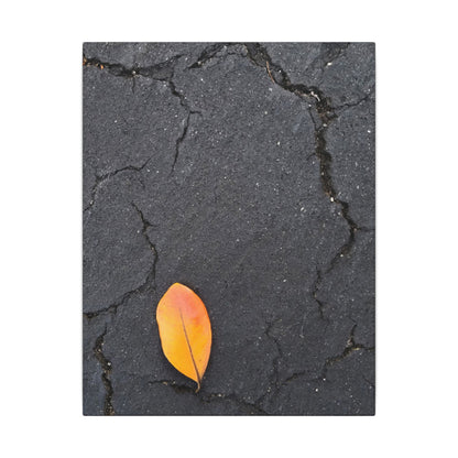 Orange Leaf Against Black Concrete Minimalistic Canvas Print – Contemporary Nature Photography Wall Art