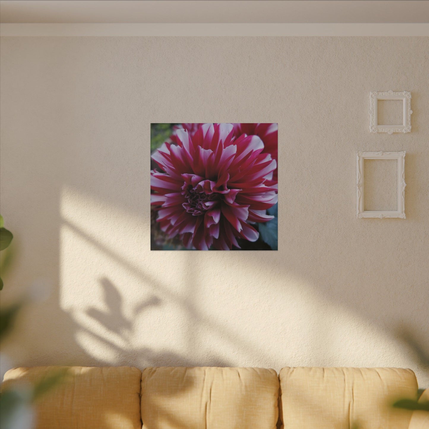 Red and White Dahlia Canvas Print – Bright Floral Nature Photography Wall Art