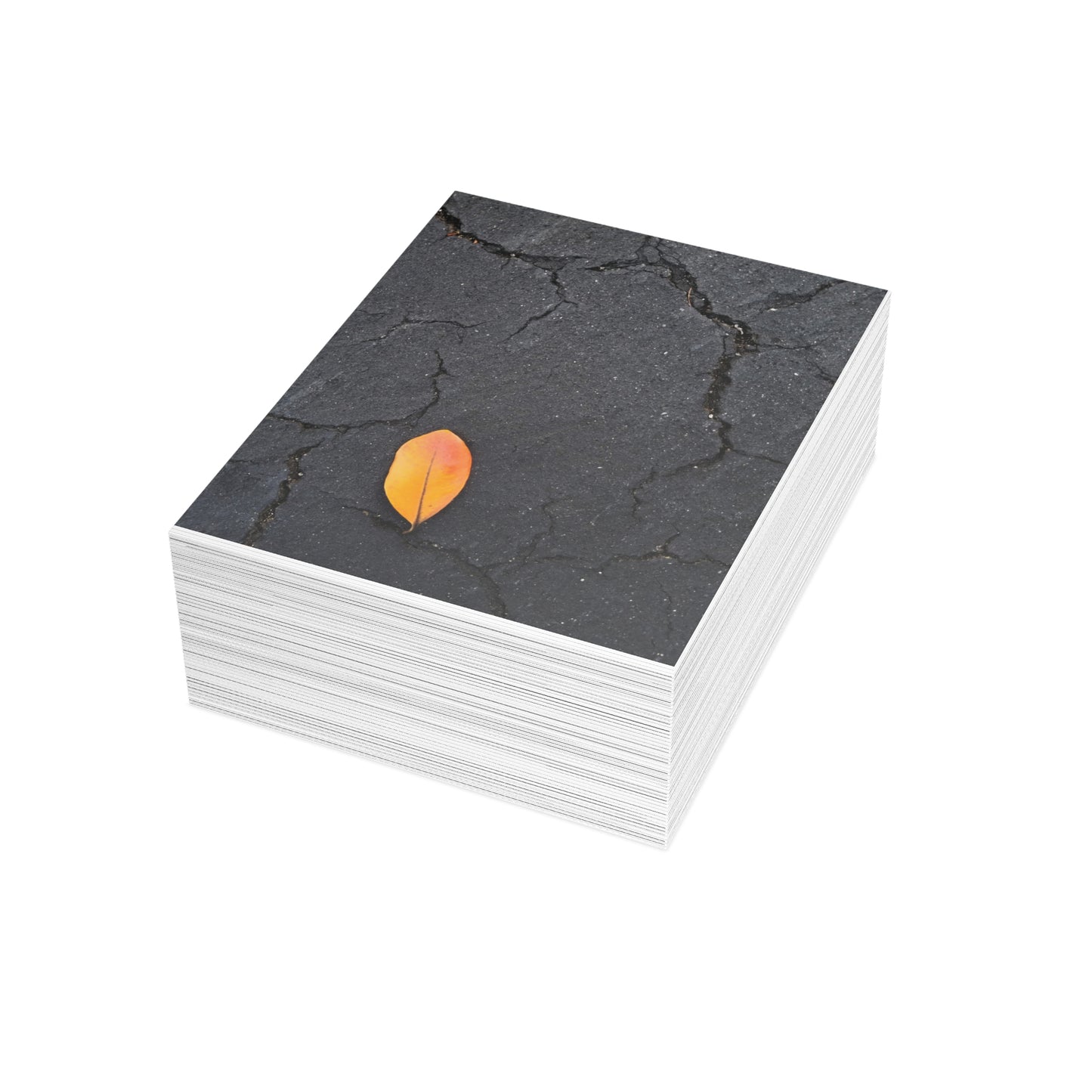 Orange Leaf on Black Concrete Inspirational Postcard – Minimalist Autumn Decor for Modern Homes