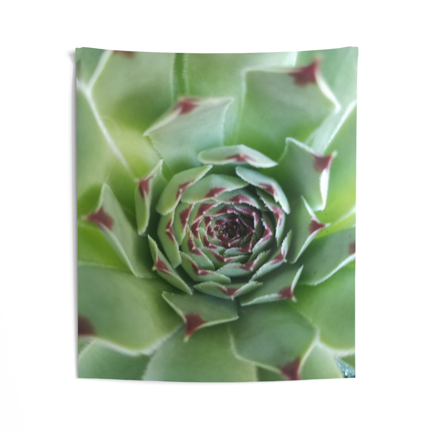 Pale Green Spikey Succulent Wall Tapestry - Botanical Nature Wall Artfor Living Room, Earthy Plant Wall Decor