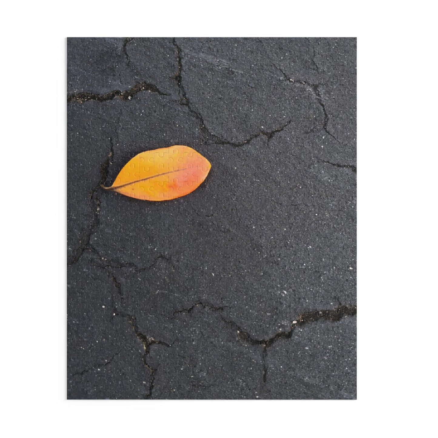 Orange Leaf on Black Concrete Puzzle – Moody Autumn Jigsaw for Minimalist Fall Decor and Nature Lovers