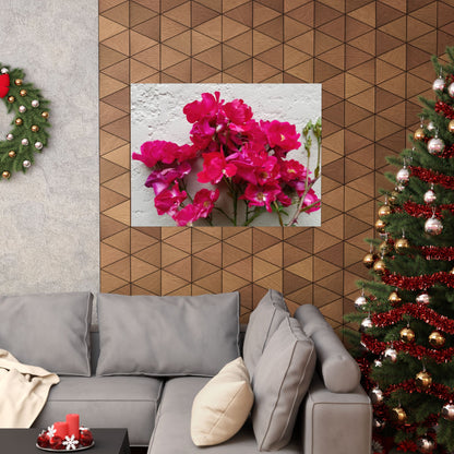 Bougainvillea Against White Stucco Wall Poster – Vibrant Floral Photography Wall Art