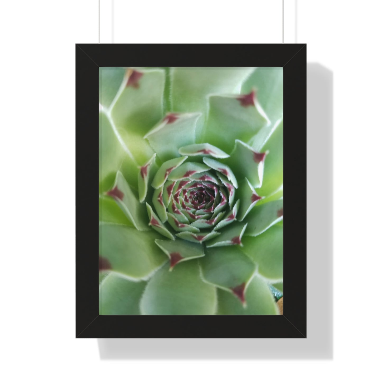 Pale Green Spiky Succulent Framed Print – Minimalist Botanical Wall Art for Desert-Inspired Interiors