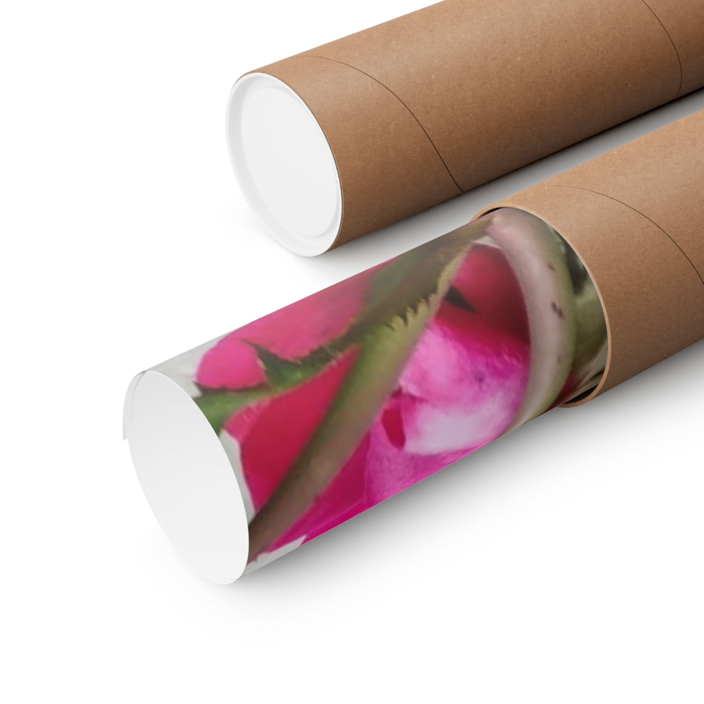 Bougainvillea Against White Stucco Wall Poster – Vibrant Floral Photography Wall Art