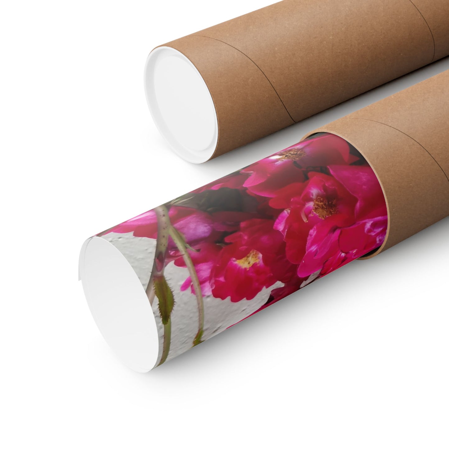 Bougainvillea Against White Stucco Wall Poster – Vibrant Floral Photography Wall Art
