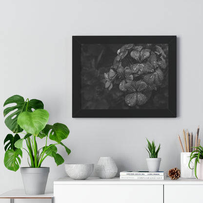 Geranium After a Light Rain Framed Print – Moody Botanical Floral Art, Monochrome Nature-Inspired Wall Decor