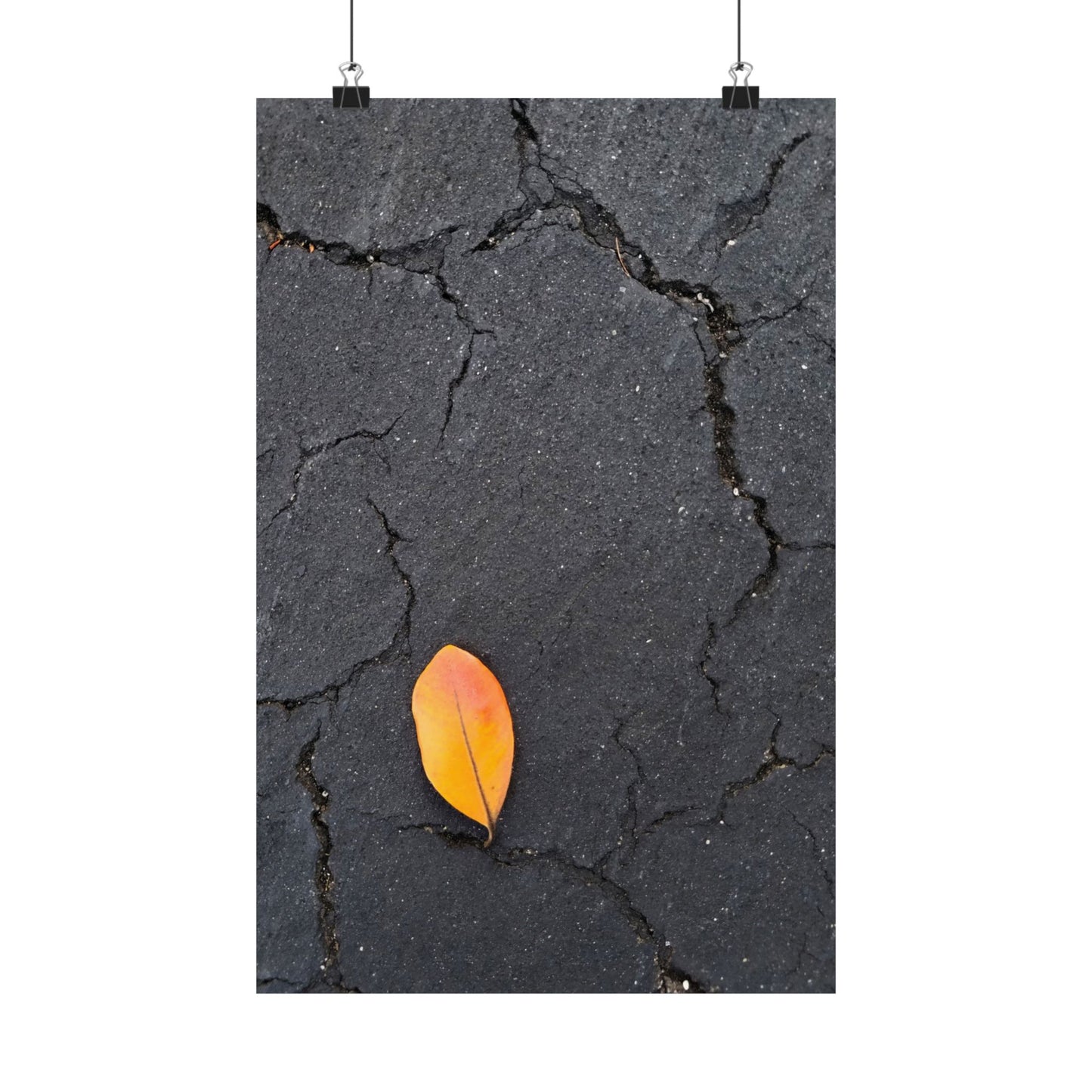 Orange Leaf Against Black Concrete Poster – Minimalist Nature Photography Wall Art