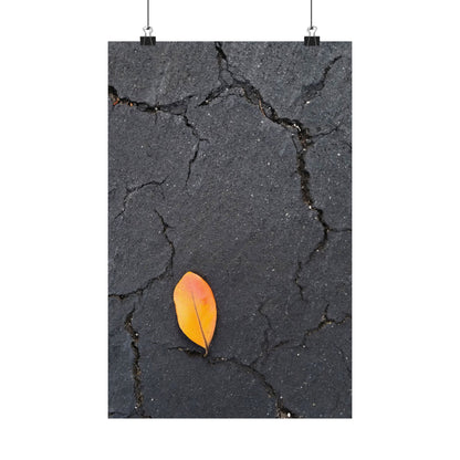 Orange Leaf Against Black Concrete Poster – Minimalist Nature Photography Wall Art