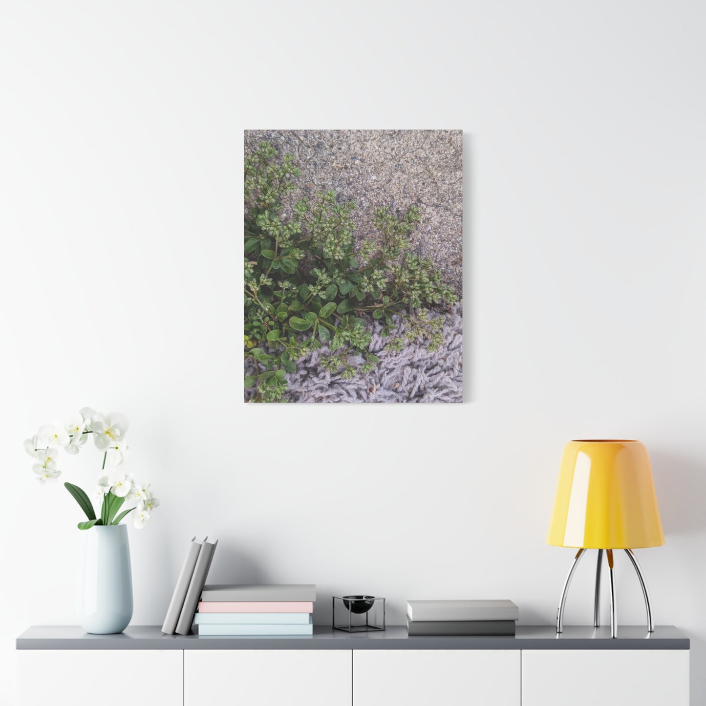 Where the Allseed Grows Canvas Print – Urban Nature Minimalist Botanical Wall Art with Concrete Texture