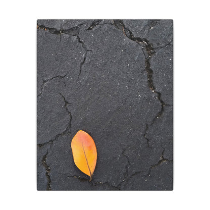 Orange Leaf Against Black Concrete Minimalistic Canvas Print – Contemporary Nature Photography Wall Art