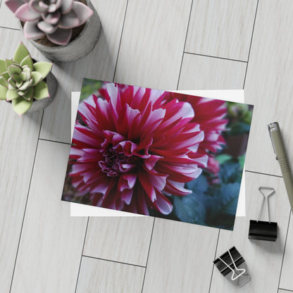 Red and White Dahlia Postcard – Botanical Floral Stationery for Garden-Inspired Correspondence