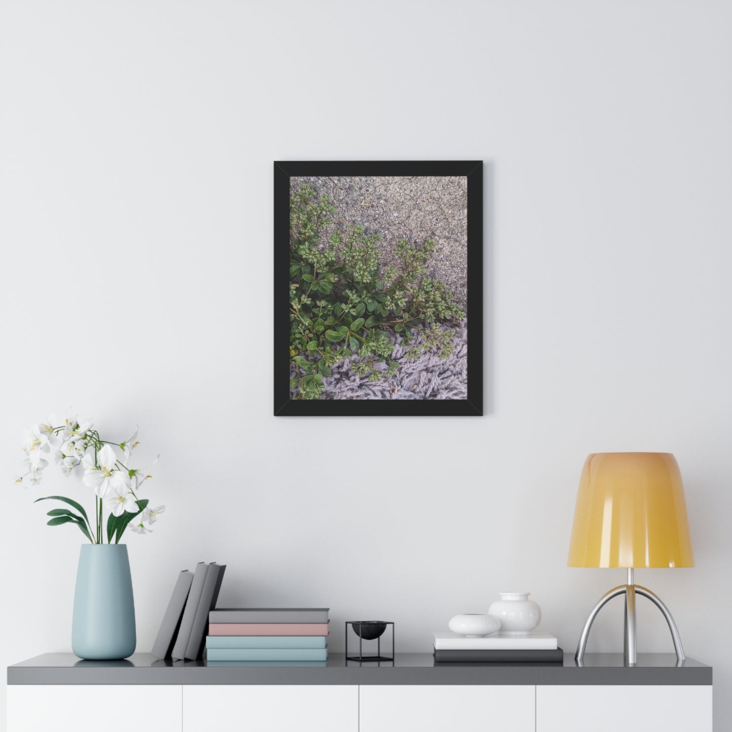 Where the Allseed Grows Framed Print – Urban Nature Minimalist Botanical Wall Art with Concrete Texture