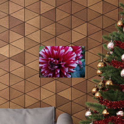 Red and White Dahlia Wall Poster – Botanical Floral Art Print, Cottagecore Summer Bloom Decor