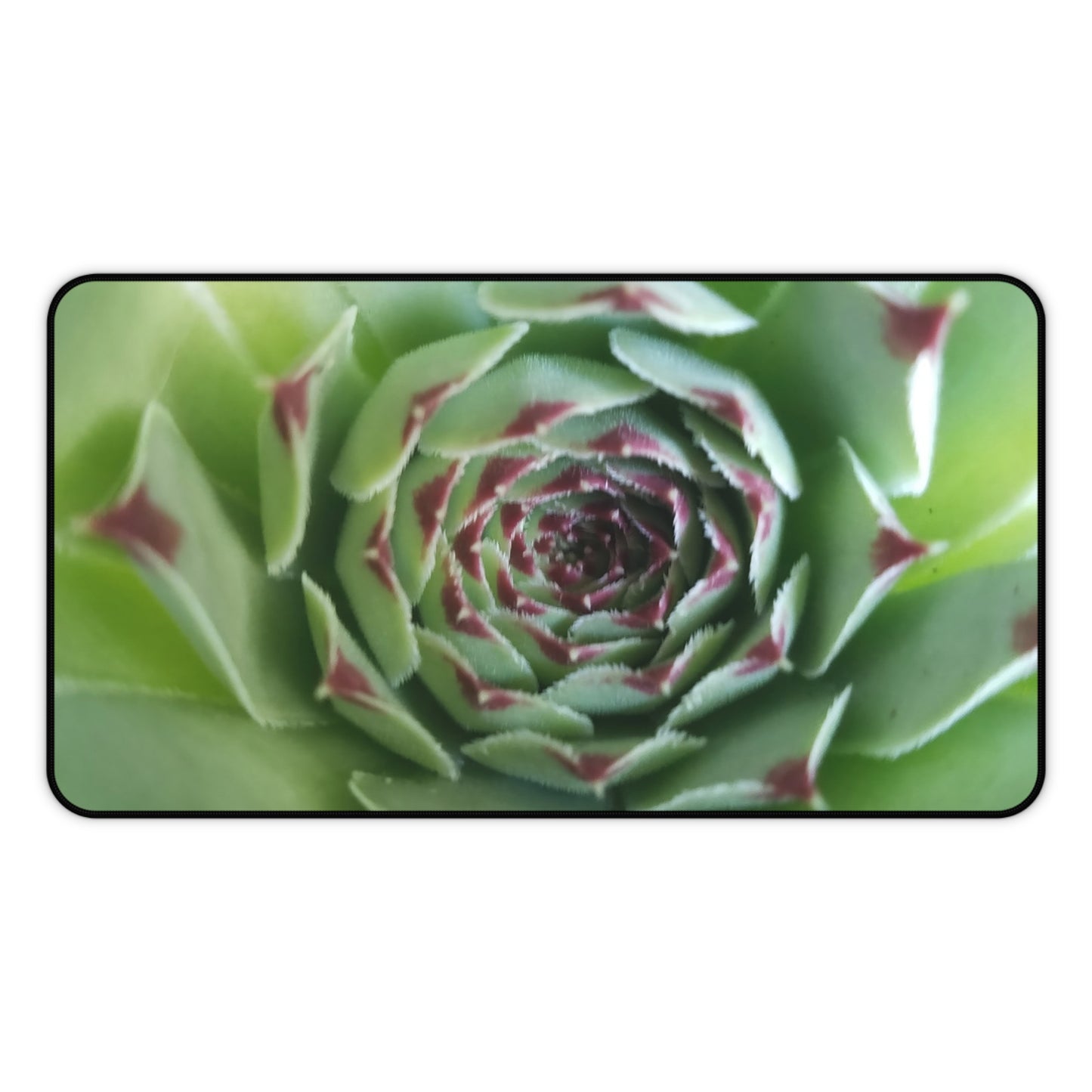 Pale Green Spiky Succulent Desk Mat – Minimalist Botanical Desk Accessory for Modern Office Decor