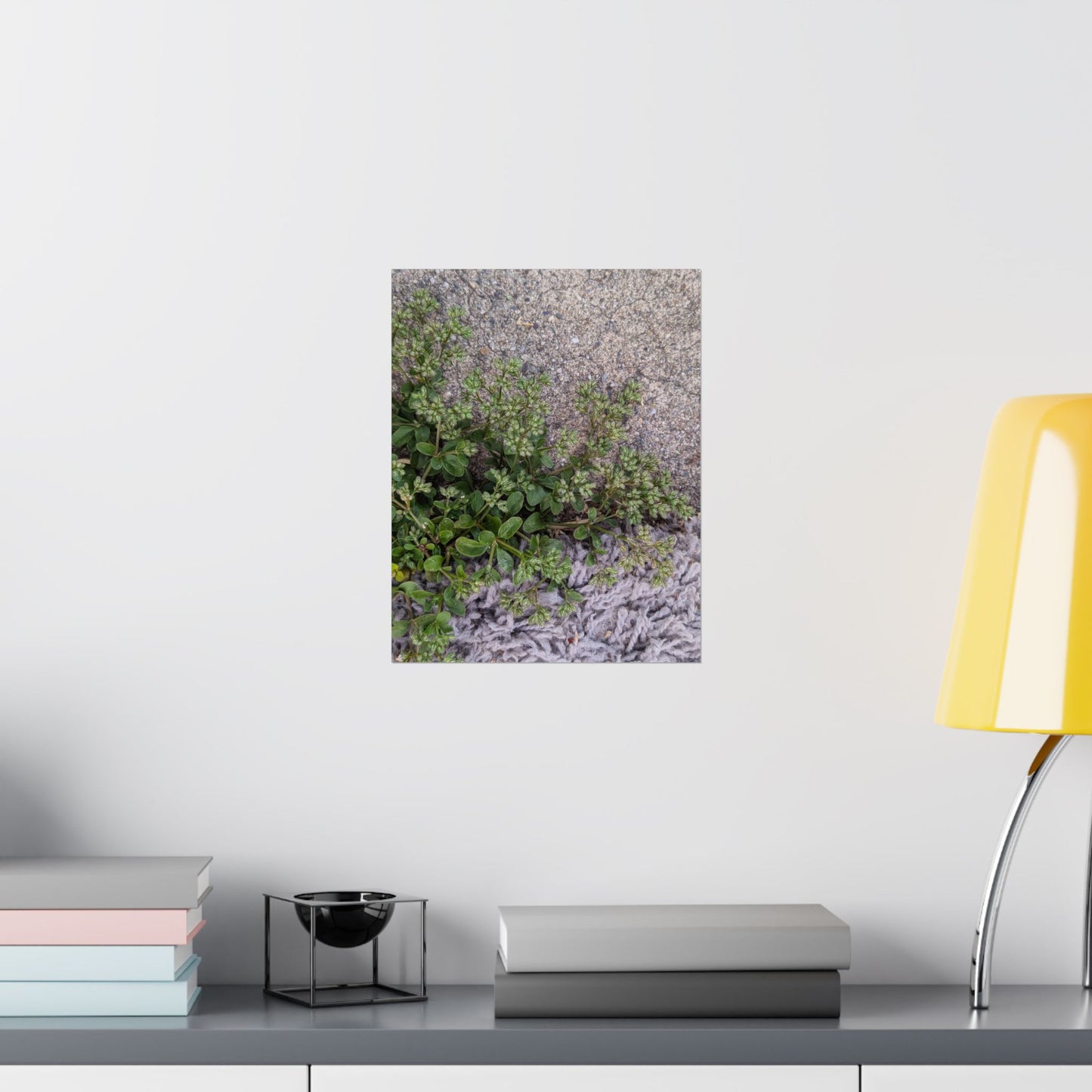 Where the Allseed Grows Poster – Urban Nature Minimalist Wall Art with Concrete Texture and Botanical Contrast