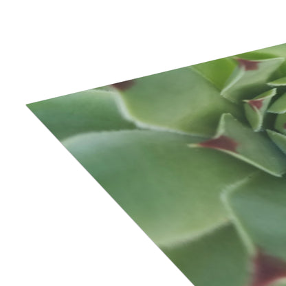 Pale Green Spiky Succulent Postcard – Botanical Art Print for Calm Minimalist Correspondence and Decor