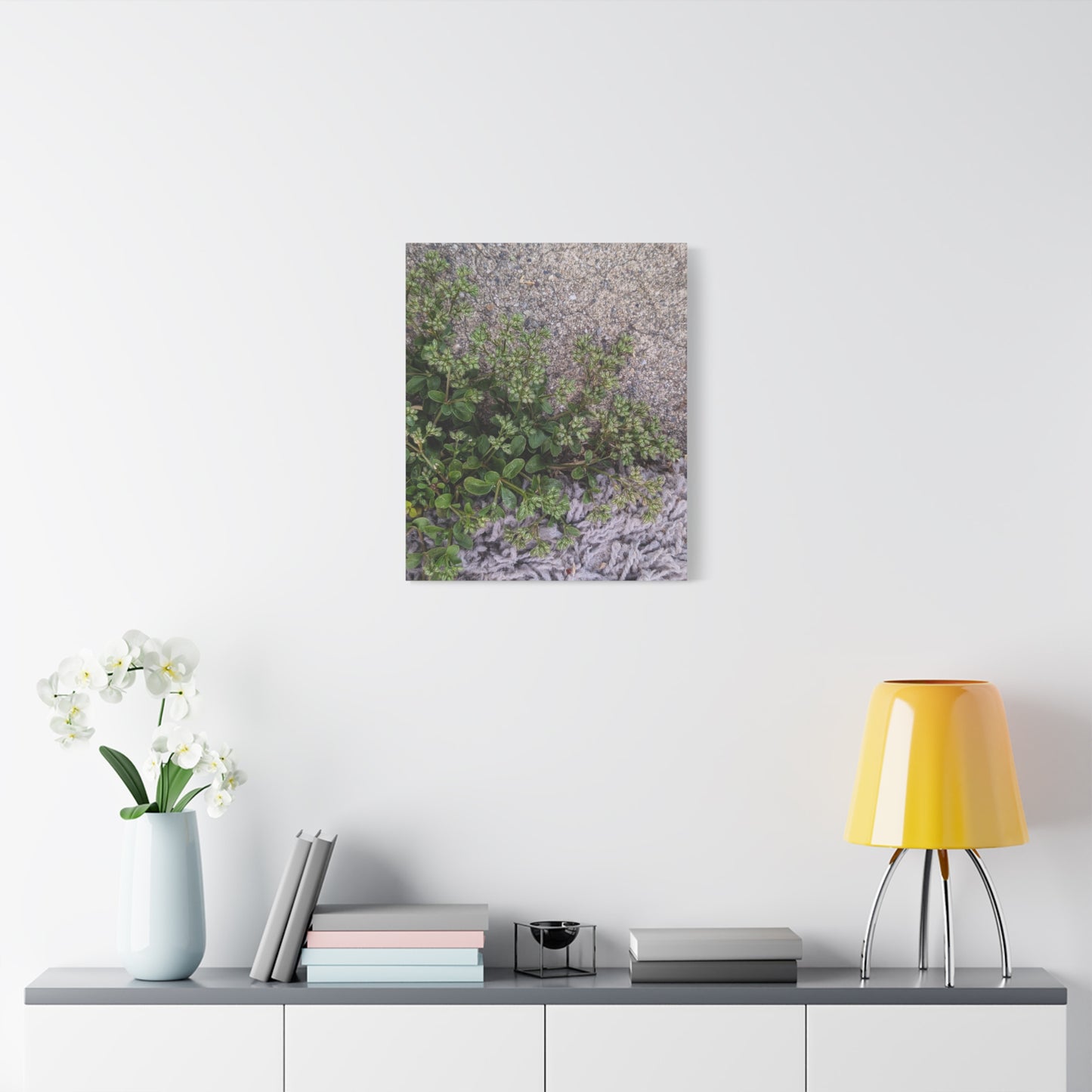 Where the Allseed Grows Canvas Print – Urban Nature Minimalist Botanical Wall Art with Concrete Texture