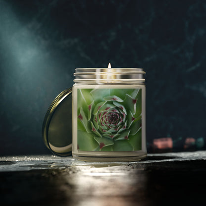 Pale Green Spiky Succulent Jar Candle – Minimalist Botanical Image Candle for Calm Desert-Inspired Decor