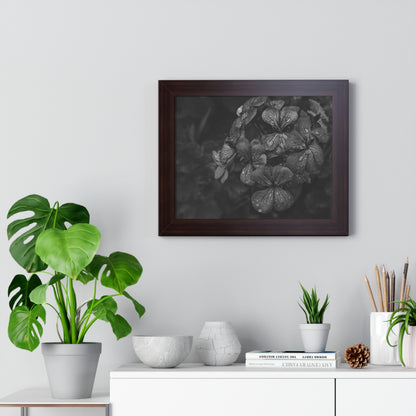 Geranium After a Light Rain Framed Print – Moody Botanical Floral Art, Monochrome Nature-Inspired Wall Decor