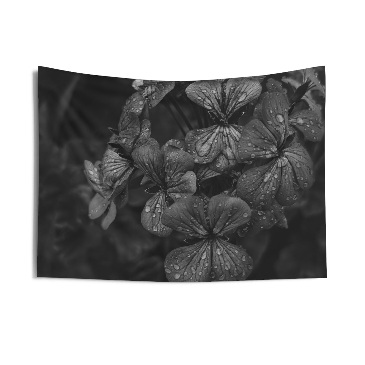 Geranium After a Light Rain Wall Tapestry – Modern Botanical Floral Black and White Photography Home Decor