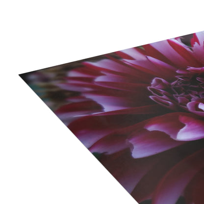 Red and White Dahlia Postcard – Botanical Floral Stationery for Garden-Inspired Correspondence