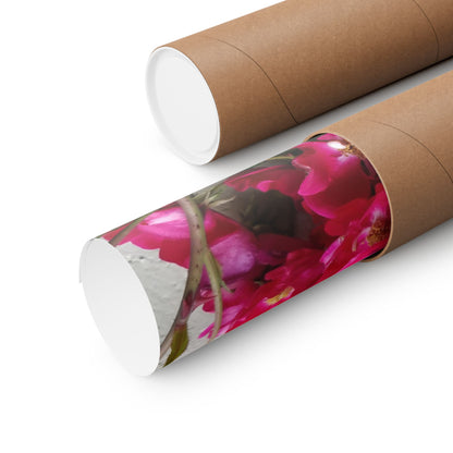 Bougainvillea Against White Stucco Wall Poster – Vibrant Floral Photography Wall Art
