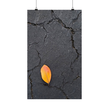 Orange Leaf Against Black Concrete Poster – Minimalist Nature Photography Wall Art