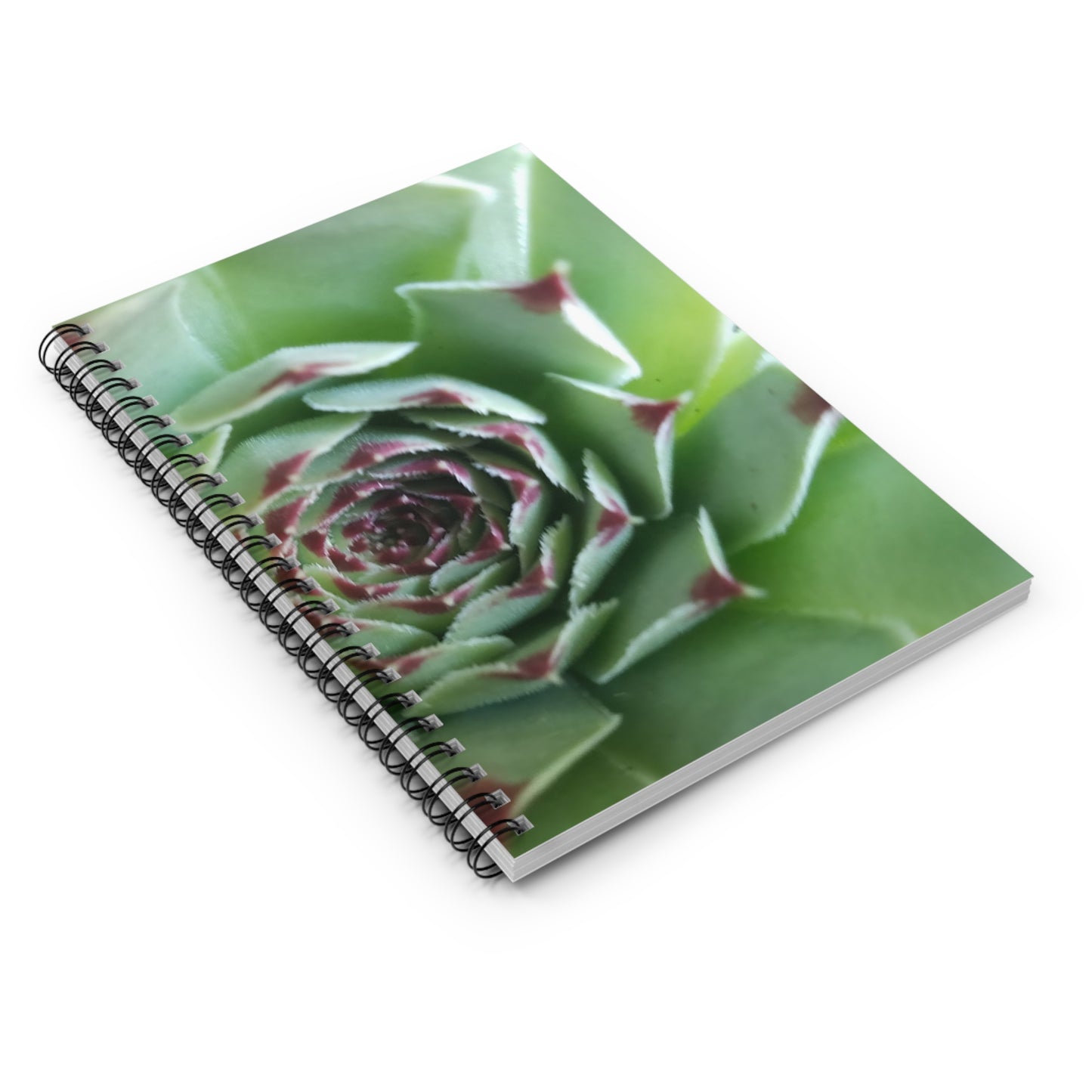 Pale Green Spiky Succulent Spiral Notebook – Botanical Photo Journal for Creative Desert-Inspired Note-Taking
