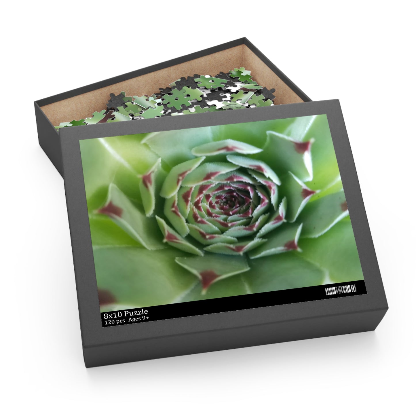 Pale Green Spiky Succulent Puzzle – Minimalist Botanical Jigsaw for Relaxing Desert-Inspired Fun