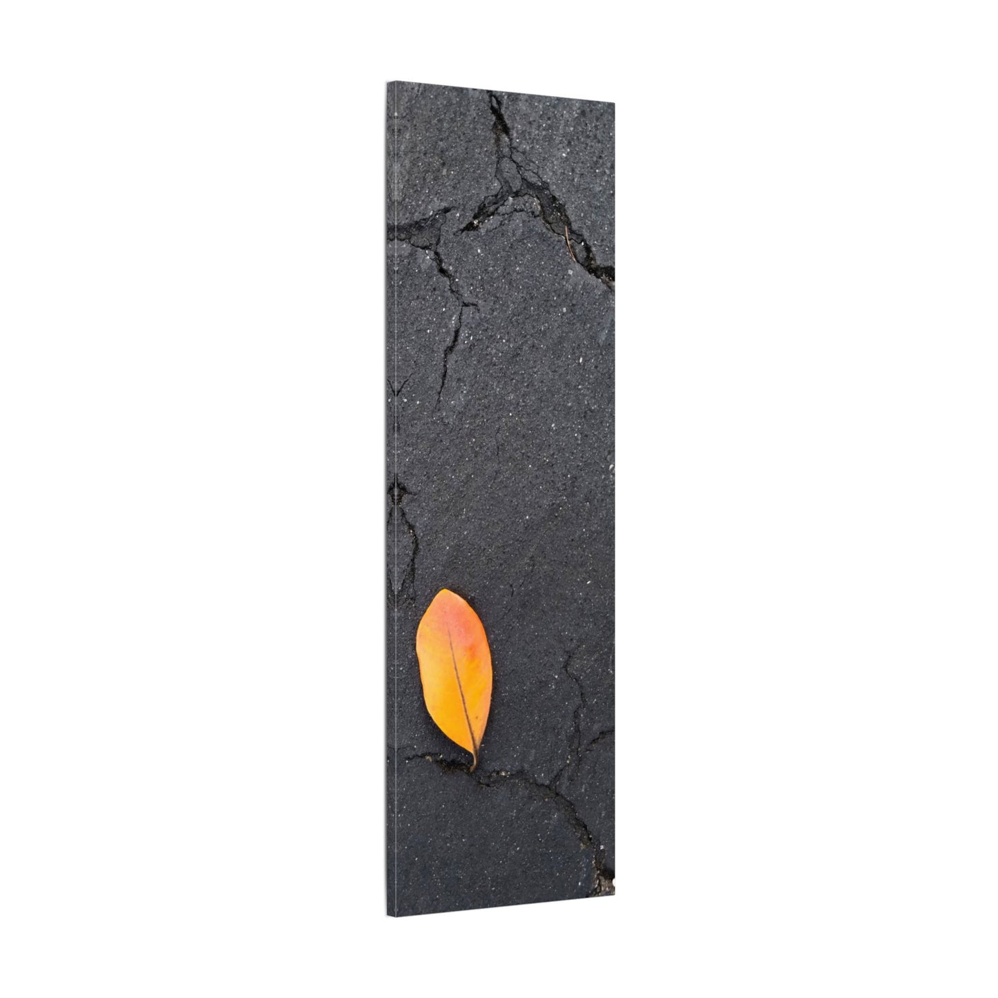 Orange Leaf Against Black Concrete Minimalistic Canvas Print – Contemporary Nature Photography Wall Art