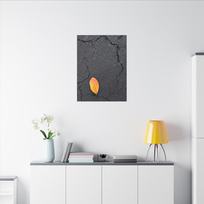 Orange Leaf Against Black Concrete Minimalistic Canvas Print – Contemporary Nature Photography Wall Art