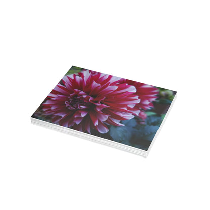 Red and White Dahlia Postcard – Botanical Floral Stationery for Garden-Inspired Correspondence