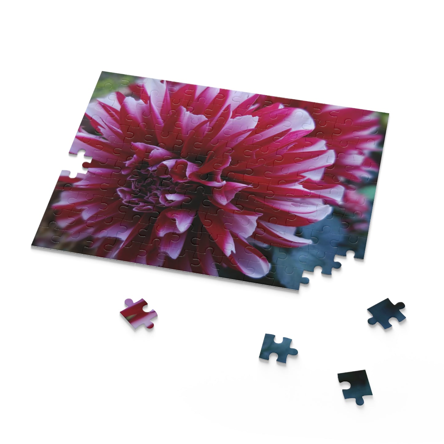 Red and White Dahlia Puzzle – Botanical Floral Jigsaw for Adults, Cottagecore Garden-Inspired Game Night Gift