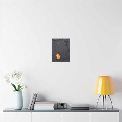 Orange Leaf Against Black Concrete Minimalistic Canvas Print – Contemporary Nature Photography Wall Art
