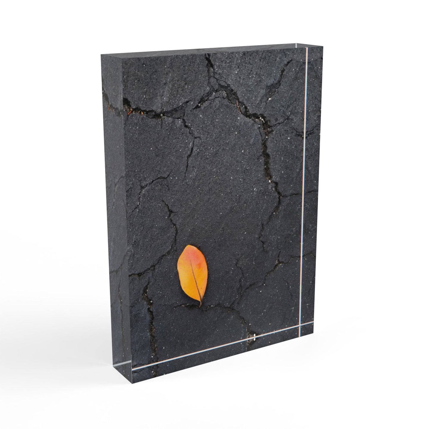 Orange Leaf on Black Concrete Acrylic Block – Minimalist Urban Autumn Wall Art Print for Modern Rustic Decor