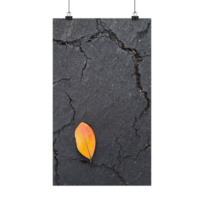 Orange Leaf Against Black Concrete Poster – Minimalist Nature Photography Wall Art