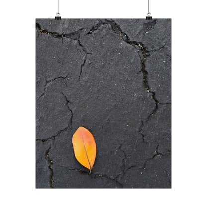 Orange Leaf Against Black Concrete Poster – Minimalist Nature Photography Wall Art
