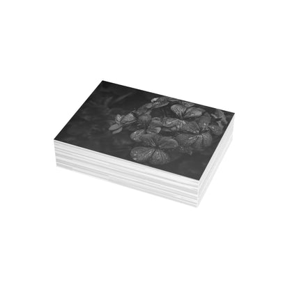 Geranium After a Light Rain Postcard – Moody Botanical Photography, Monochrome Floral Stationery for Thoughtful Correspondence