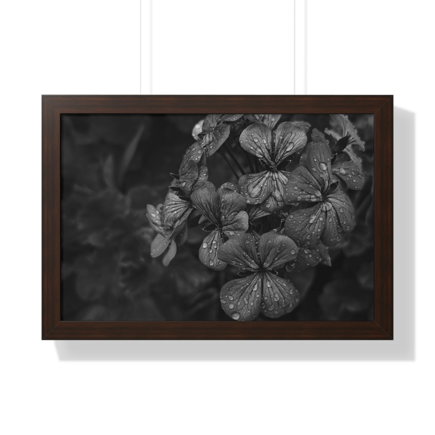 Geranium After a Light Rain Framed Print – Moody Botanical Floral Art, Monochrome Nature-Inspired Wall Decor
