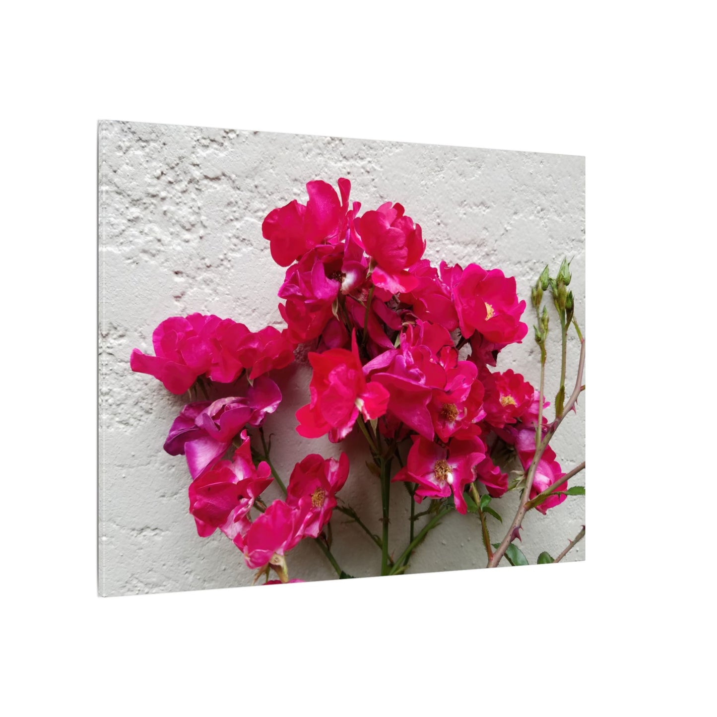 Textured wall canvas print featuring bougainvillea cluster