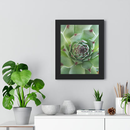 Pale Green Spiky Succulent Framed Print – Minimalist Botanical Wall Art for Desert-Inspired Interiors