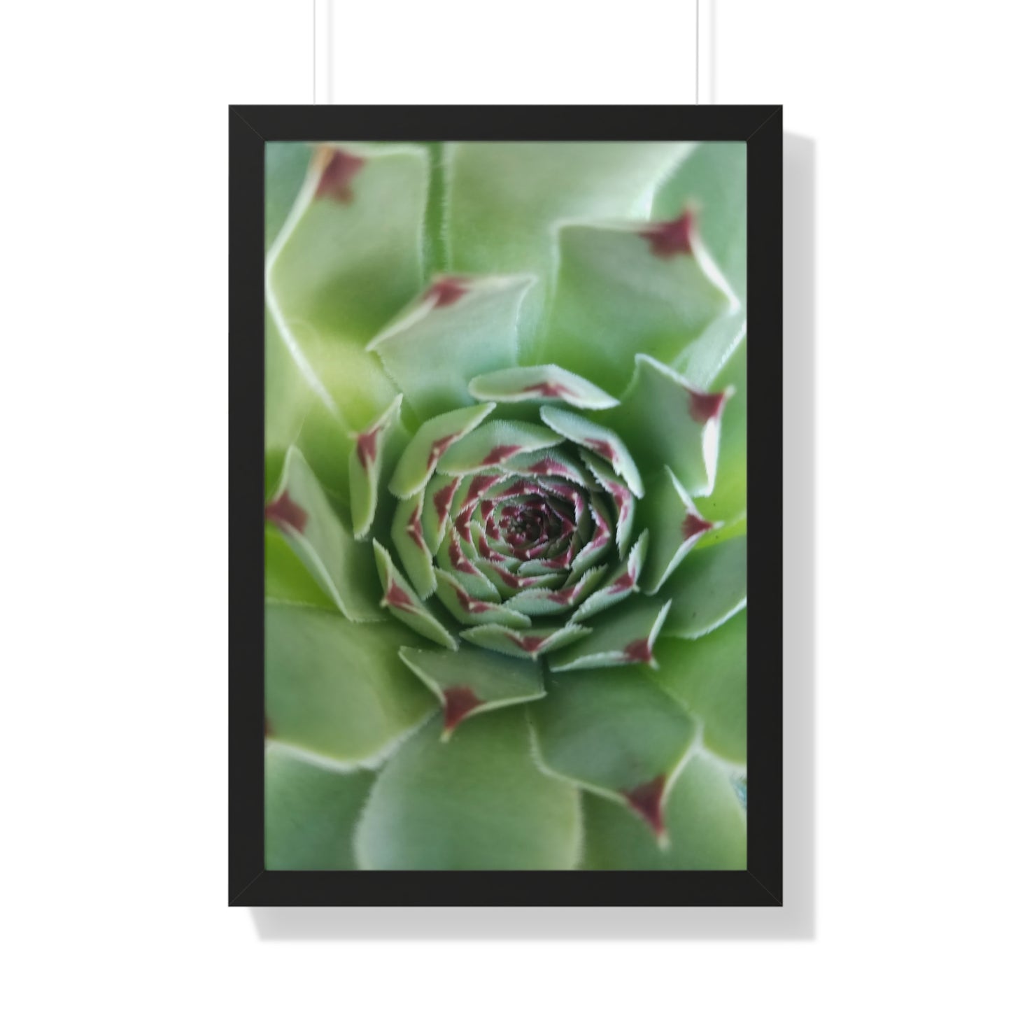 Pale Green Spiky Succulent Framed Print – Minimalist Botanical Wall Art for Desert-Inspired Interiors