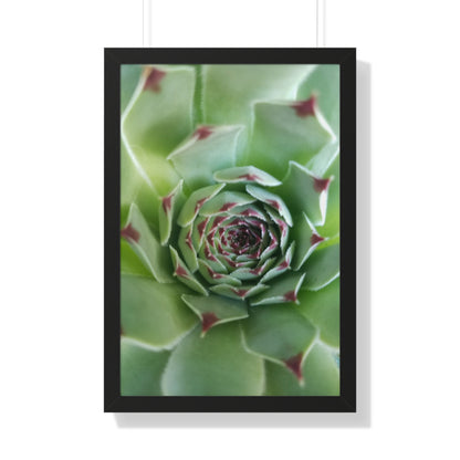 Pale Green Spiky Succulent Framed Print – Minimalist Botanical Wall Art for Desert-Inspired Interiors