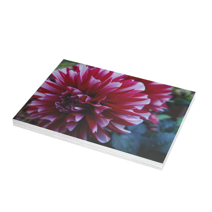 Red and White Dahlia Postcard – Botanical Floral Stationery for Garden-Inspired Correspondence