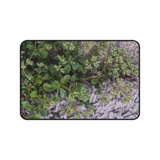 Where the Allseed Grows Desk Mat – Urban Nature Minimalist Botanical Workspace Mat with Concrete Texture Design
