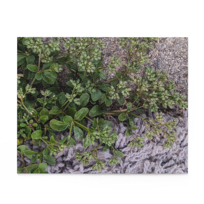 Where the Allseed Grows Puzzle – Urban Nature Minimalist Botanical Jigsaw with Concrete Texture