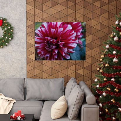 Red and White Dahlia Wall Poster – Botanical Floral Art Print, Cottagecore Summer Bloom Decor