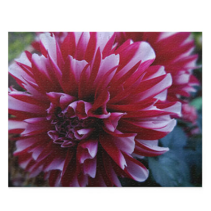 Red and White Dahlia Puzzle – Botanical Floral Jigsaw for Adults, Cottagecore Garden-Inspired Game Night Gift